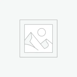 Custom Software Development